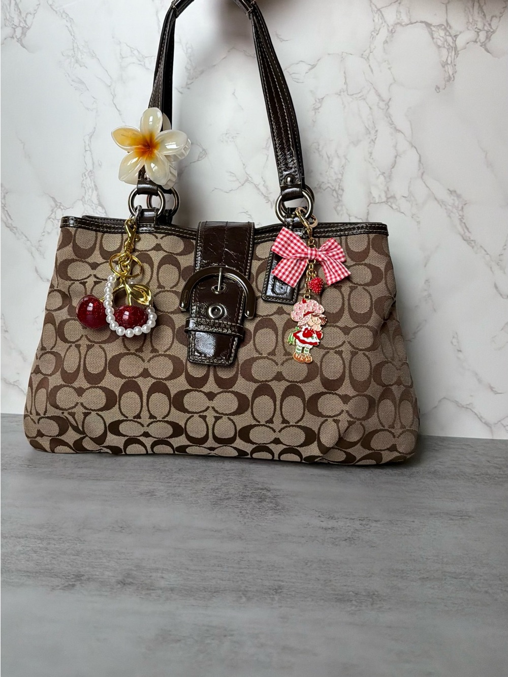 NWOT ࣪Brown C♡ach Canvas Signature Shoulder Bag